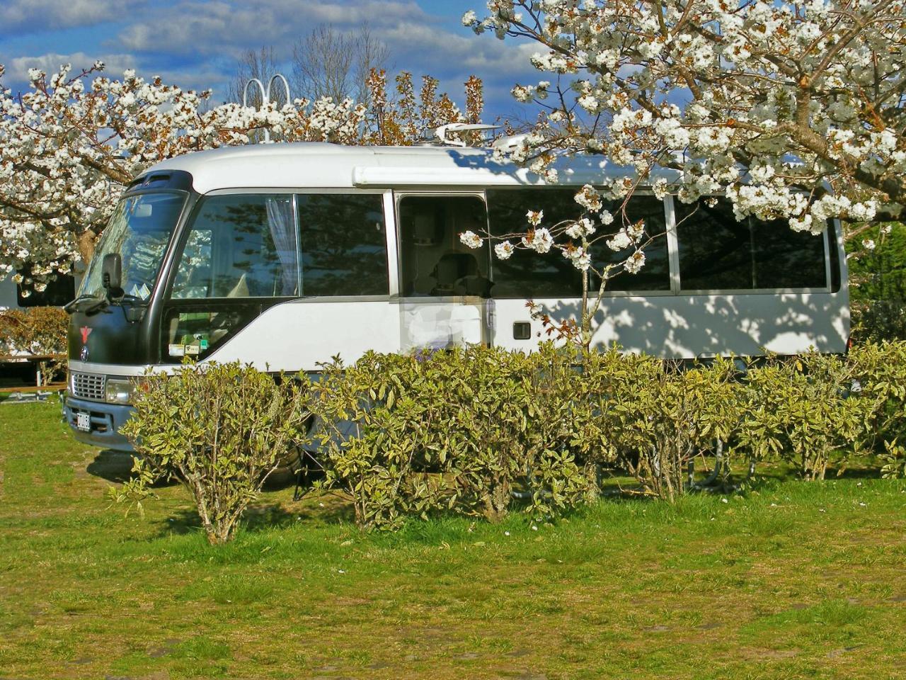 Taupo Debretts Spa Resort Luaran gambar The photo shows a white bus parked amidst blooming cherry blossom trees. The bus is partially obscured by a green hedge, with well-manicured grass surrounding it. In the background, there are clear blue skies with some clouds, creating a serene and p